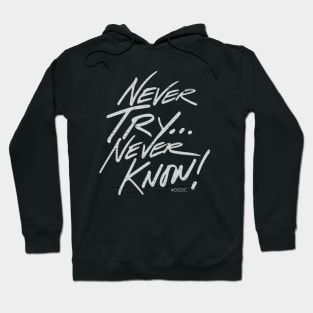 Never Try... Never Know! Hoodie